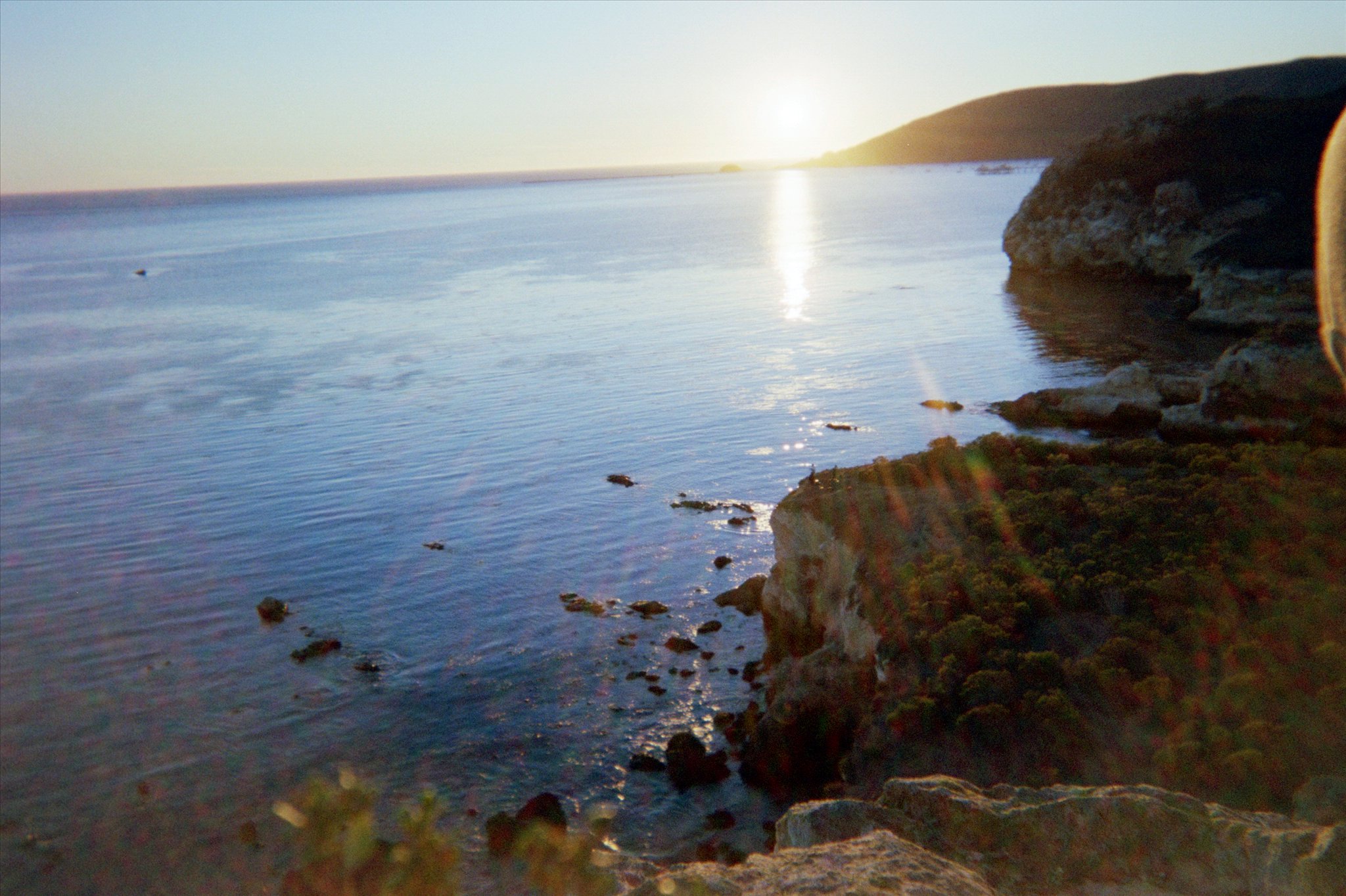 Woman with color palette