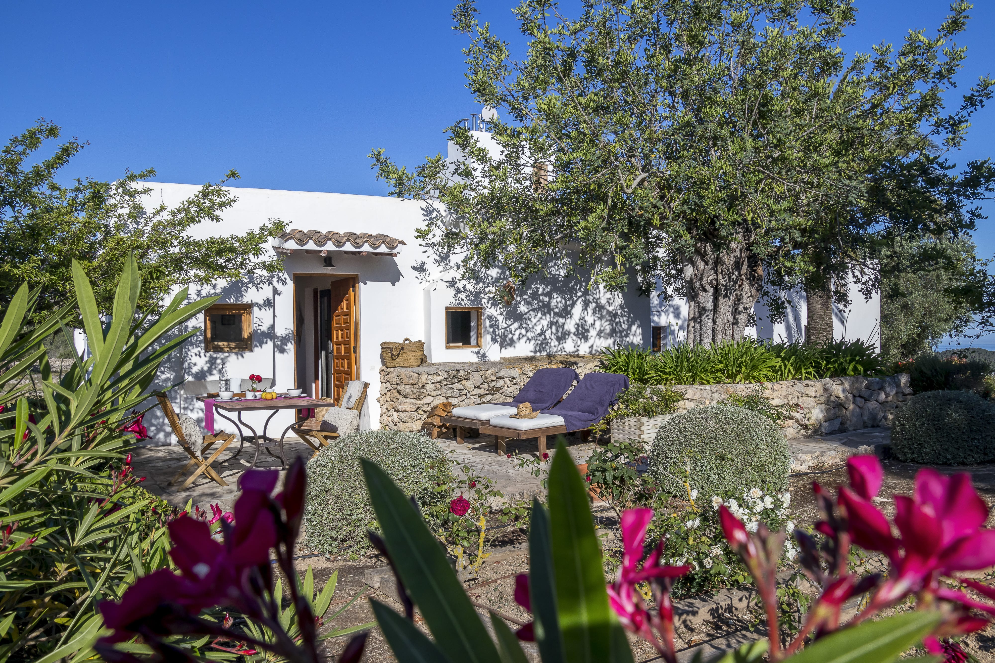 White Guest House Surrounded by Garden and Trees