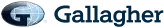 Gallagher ai Logo