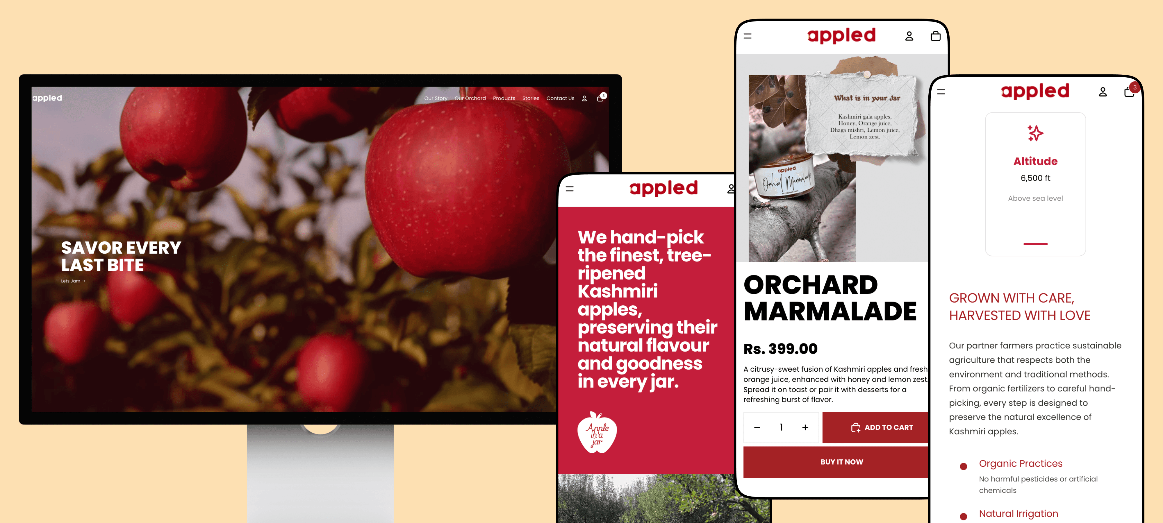 Project Content Image - 1