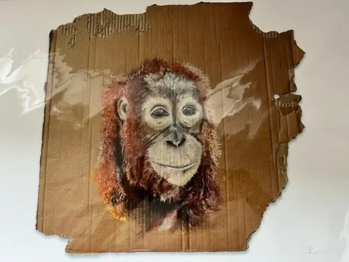 Orangutan print