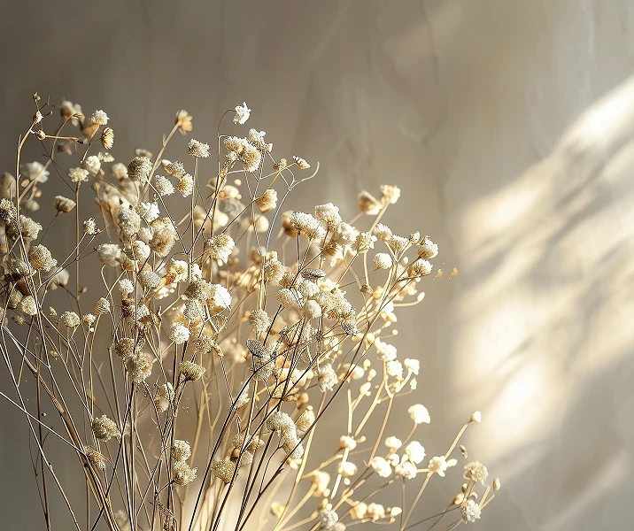 Hero neutral flower image