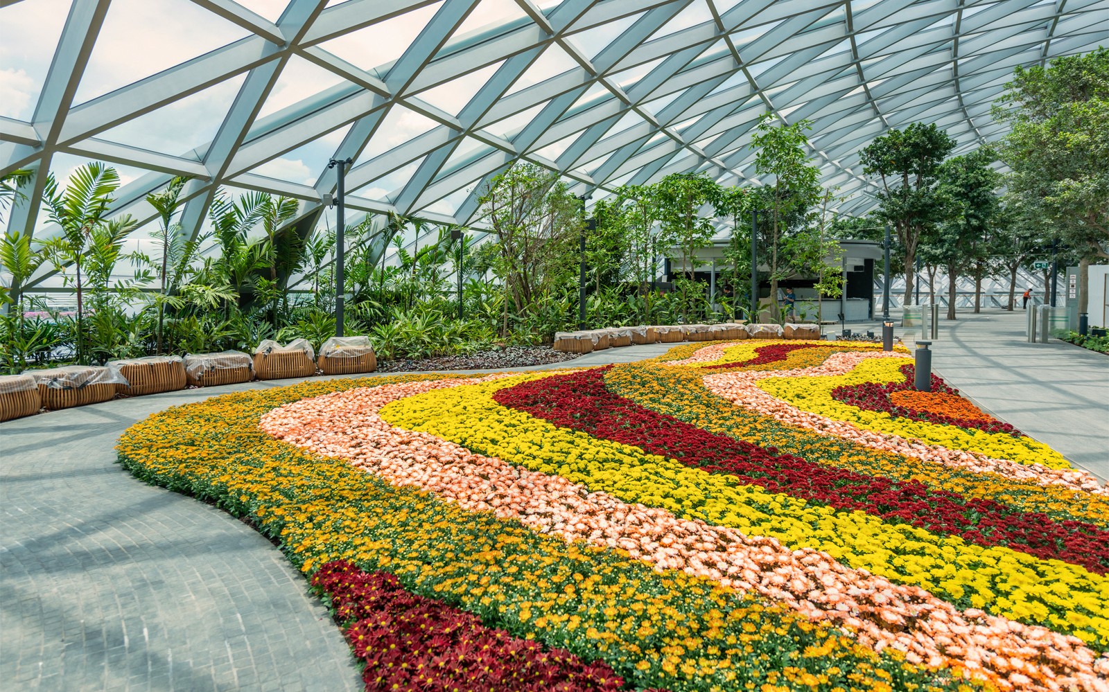 Makulay na pagpapakita ng mga bulaklak sa ilalim ng glass dome sa Jewel Changi Canopy Park, Singapura.