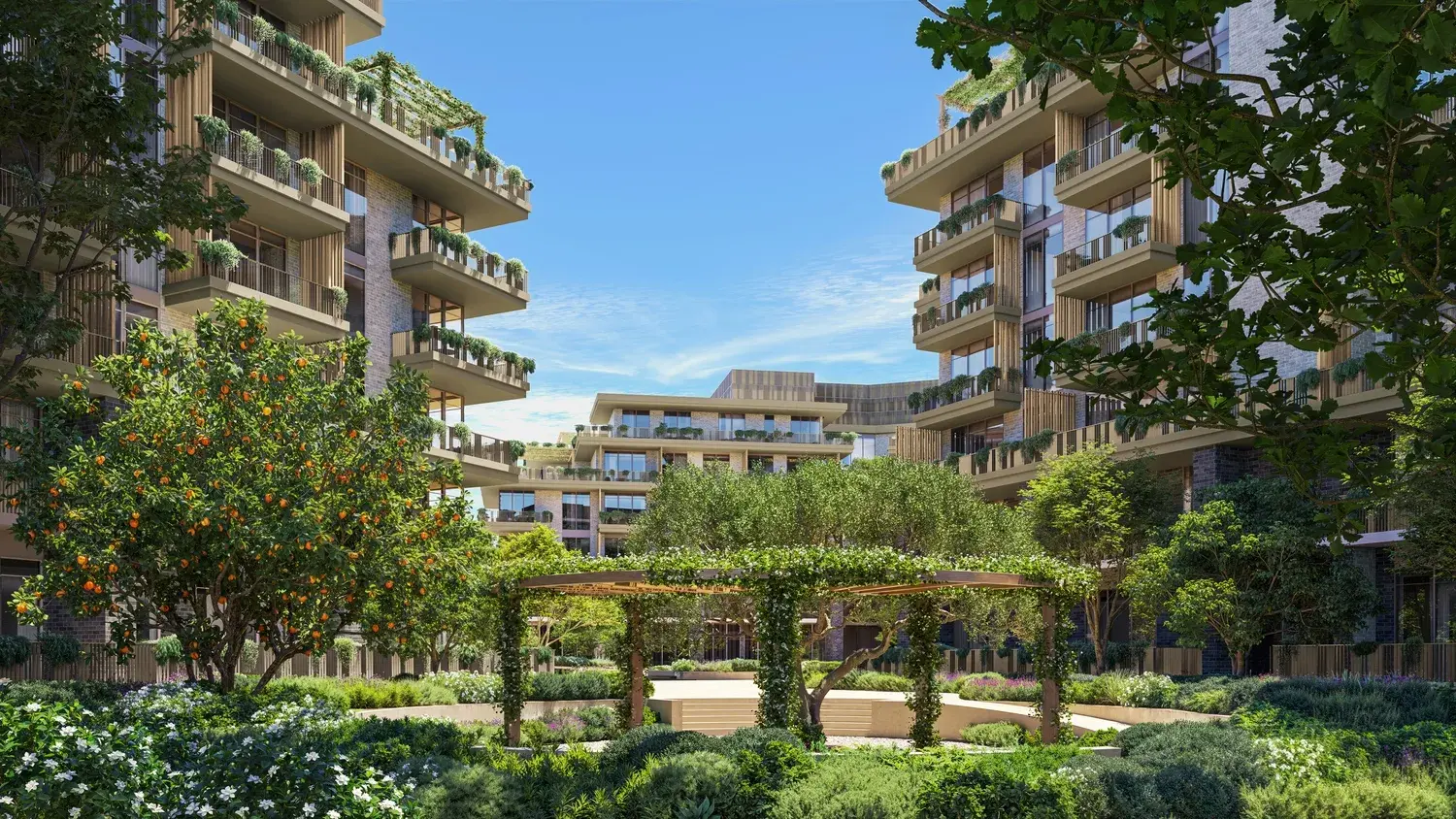 arancia yards 2 by beyond developments