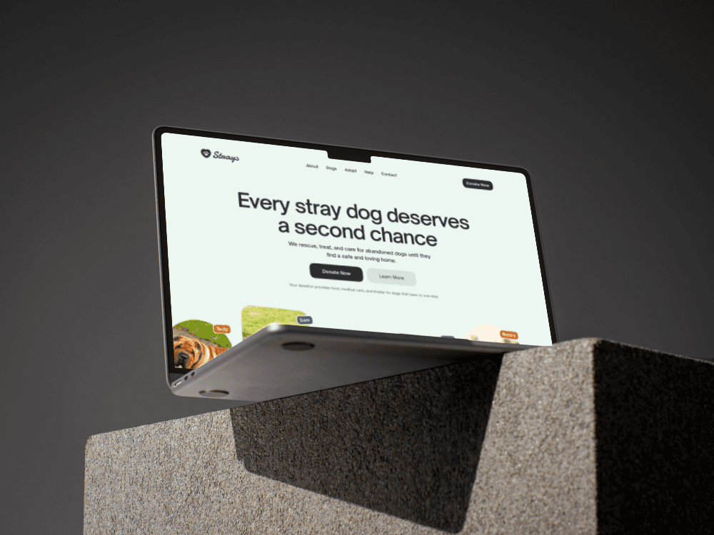 Non-profit and charity website template displayed on a laptop, designed to build trust and encourage donations