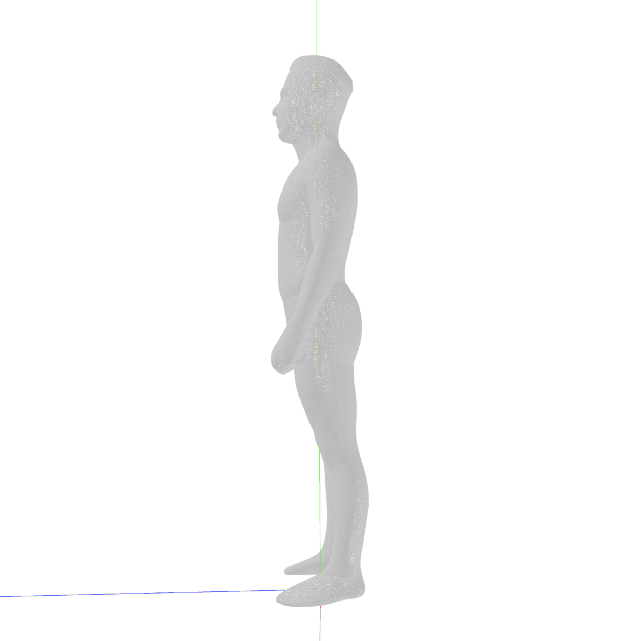 Full body scan of a man standing