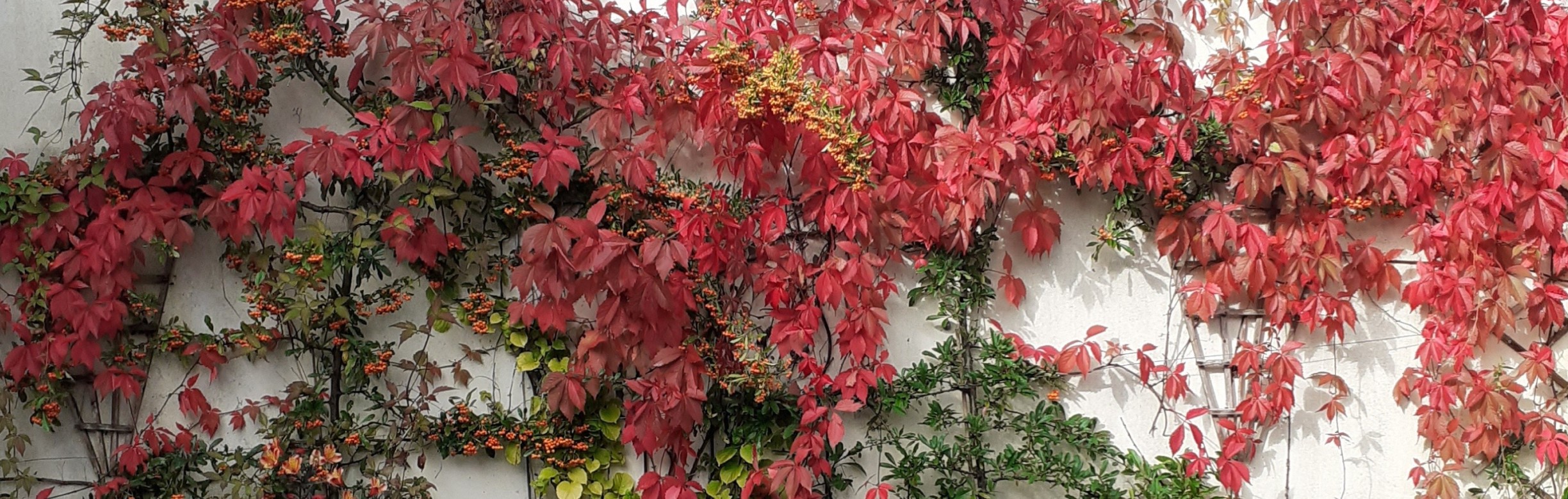 Mystical Experiences