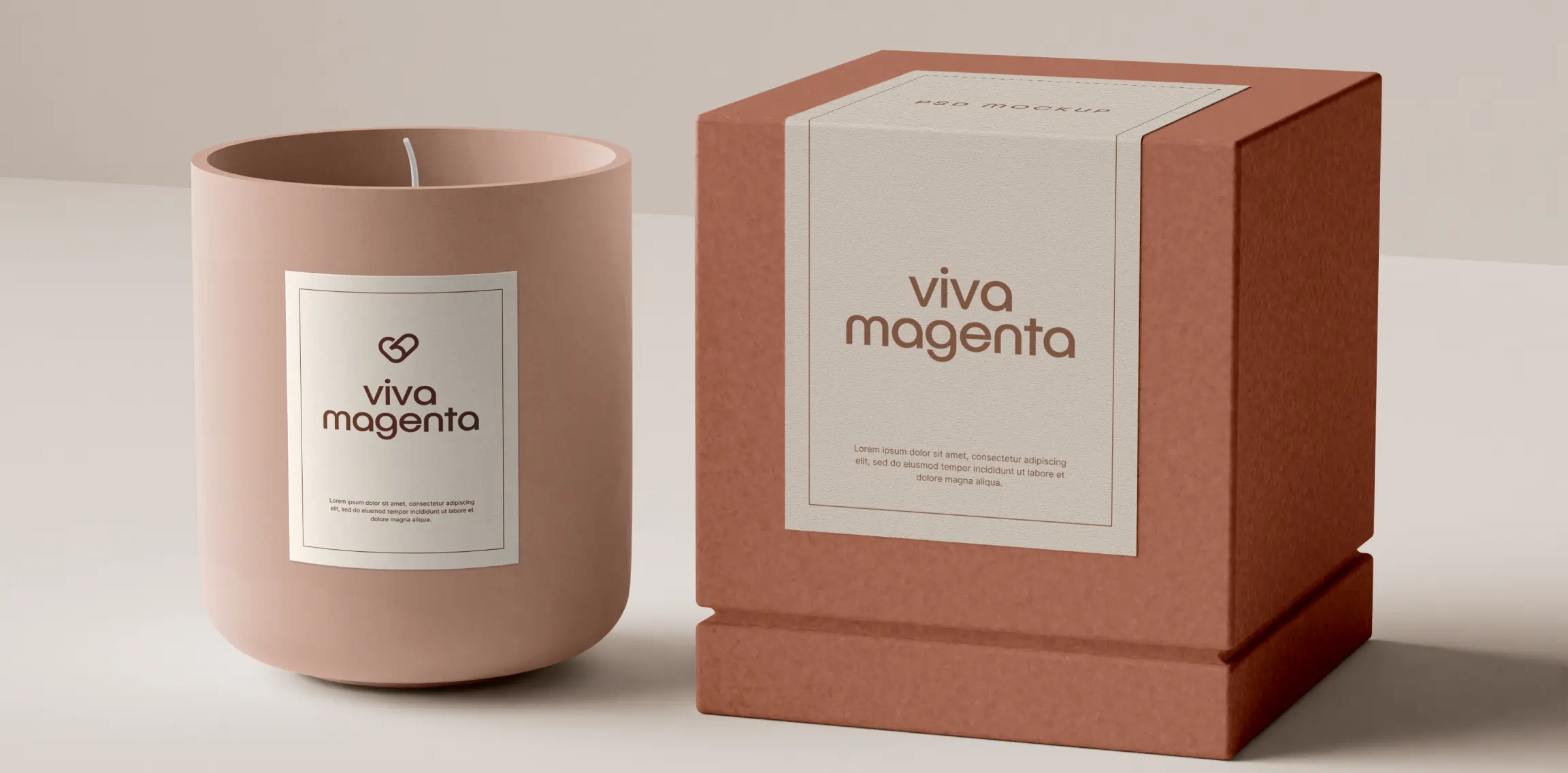 Master the Packaging Design Process in 6 Steps