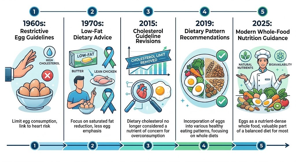 An infographic timeline showing the evolution of egg and cholesterol nutrition guidelines from the 1960s to 2025, from restrictive advice to modern whole-food recommendations.