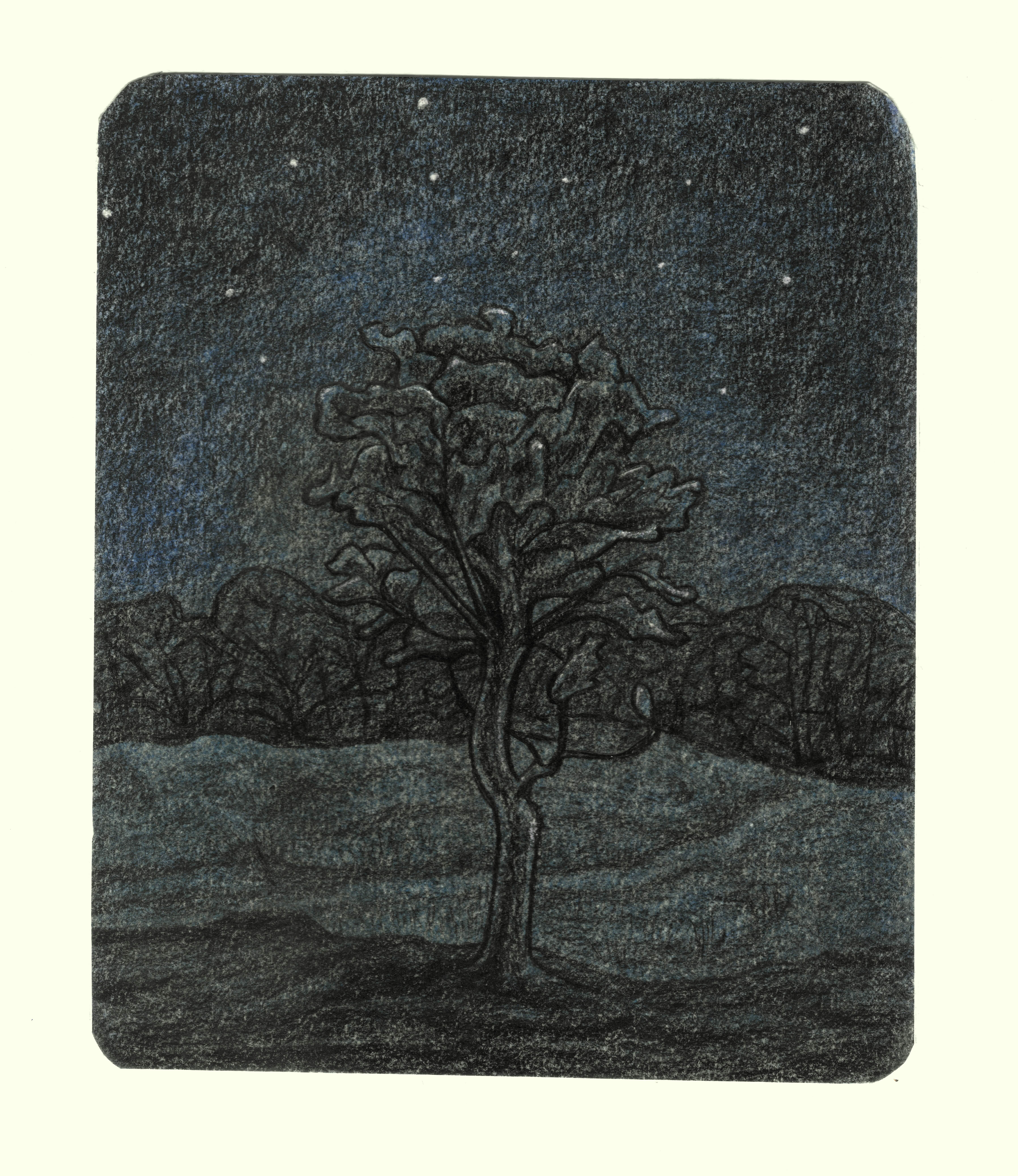 herd of sheep on road painting