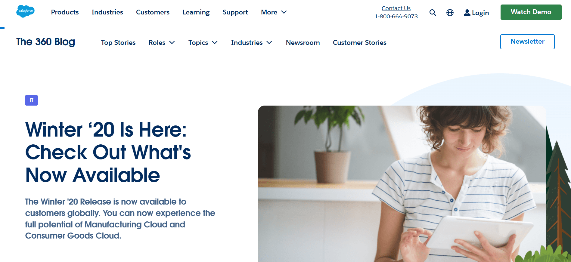 salesforce - Lead Nurturing Tools