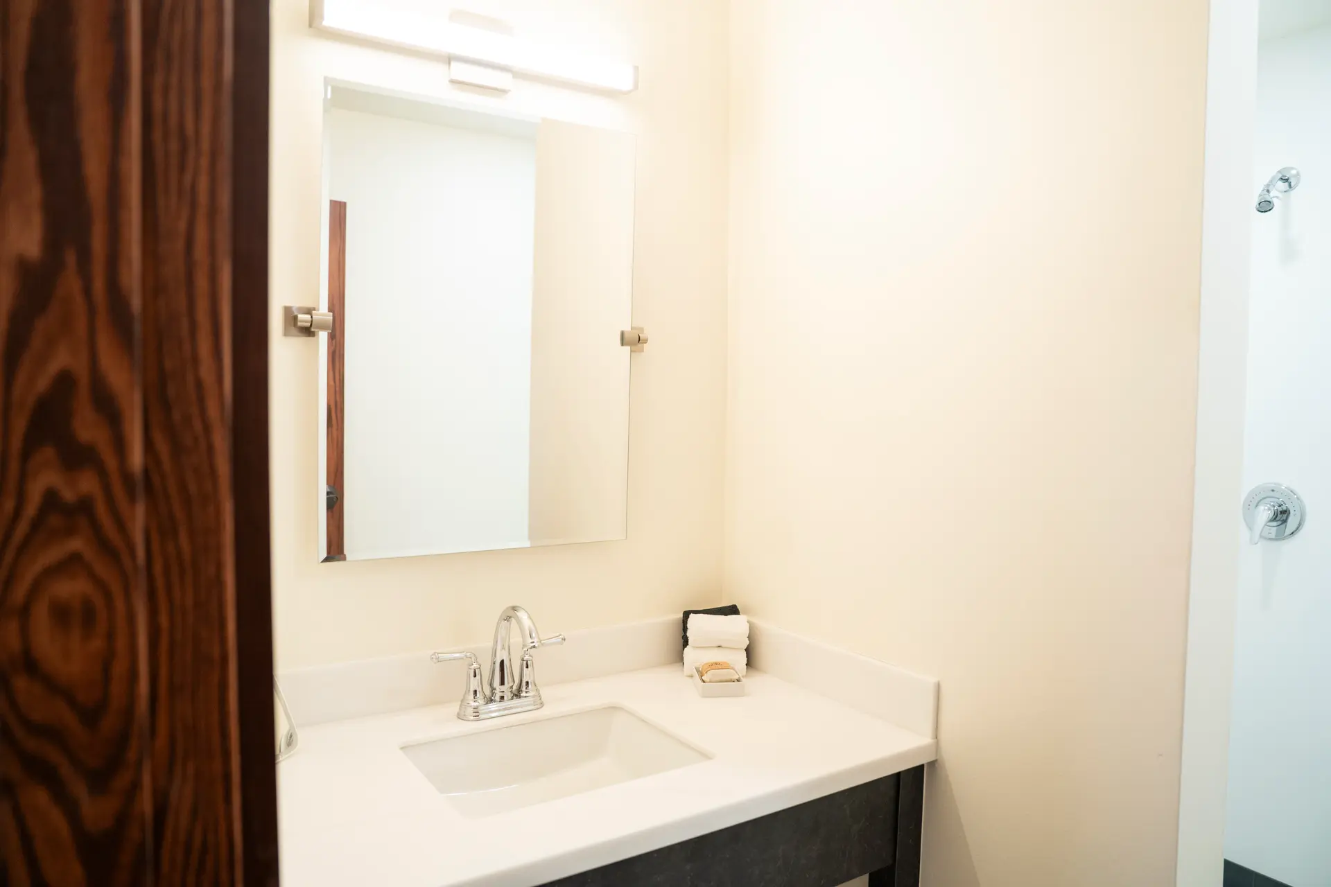 Bathroom vanity and walk-in shower