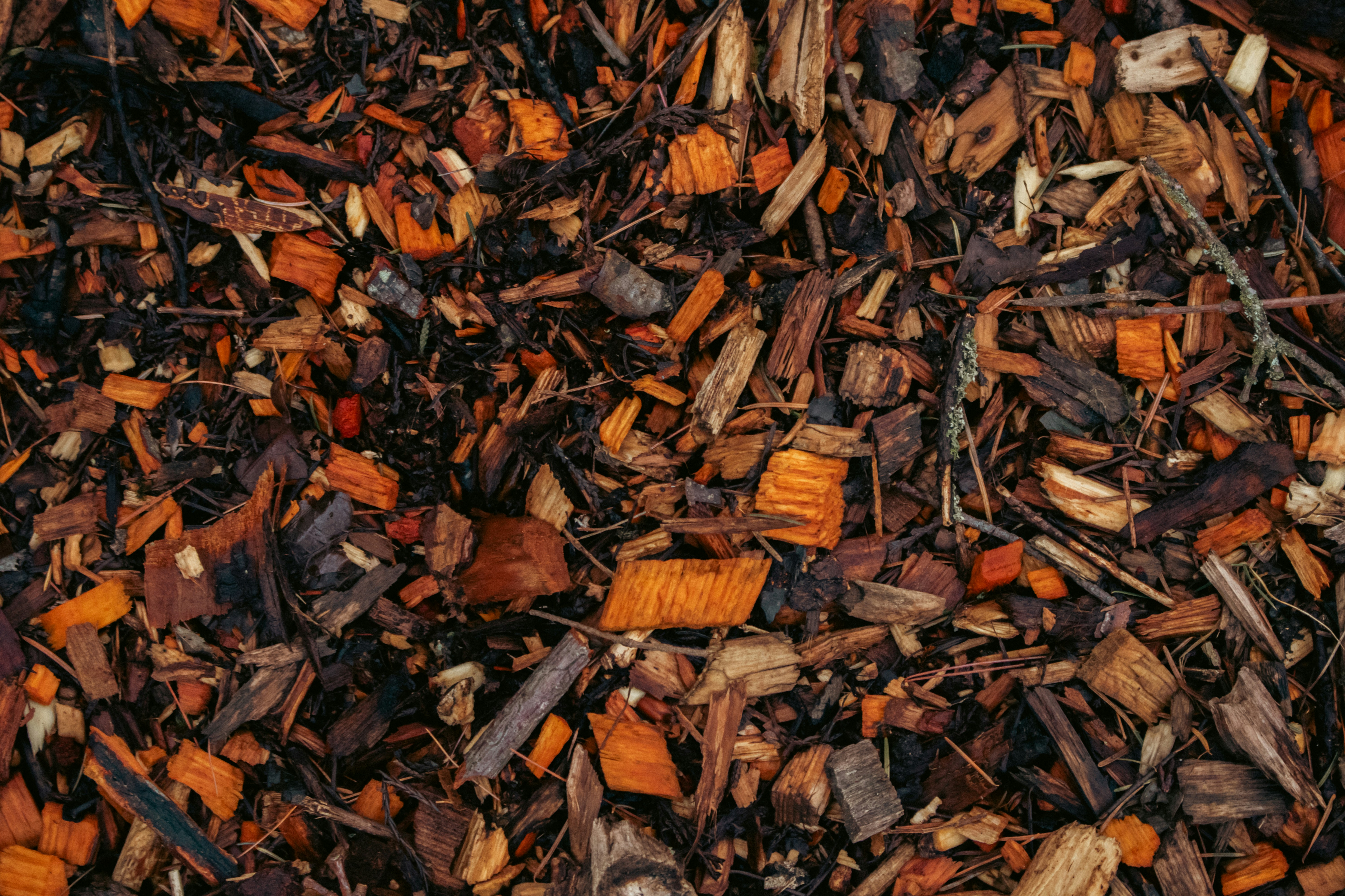 Wood chips and bark fill the image.