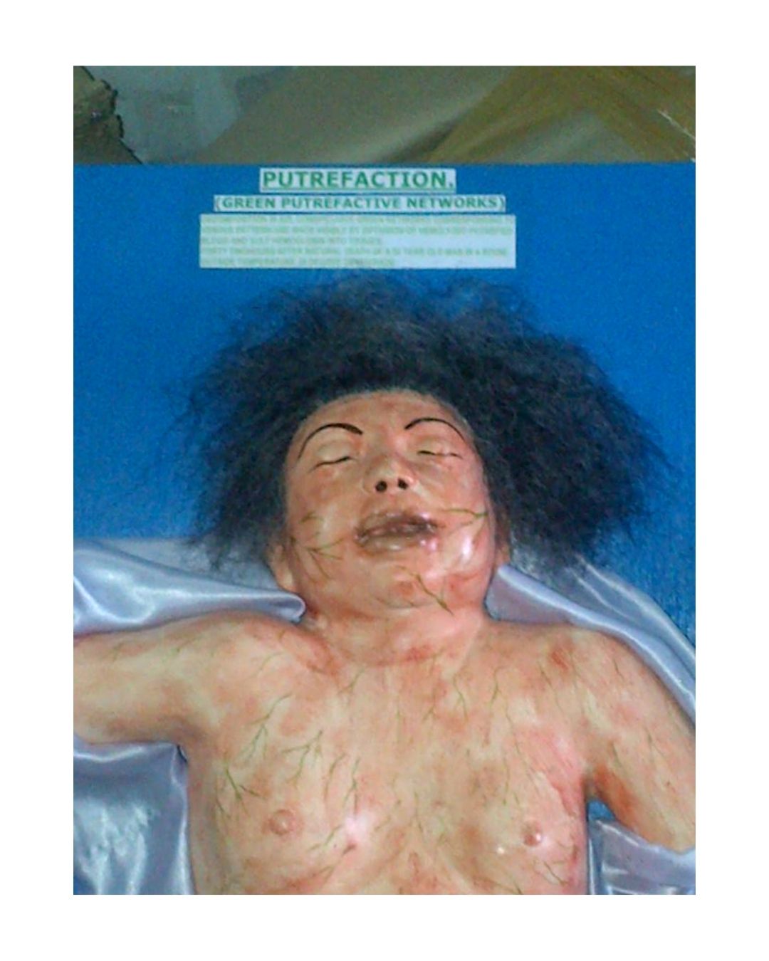 Putrefaction – Green Putrefactive Networks