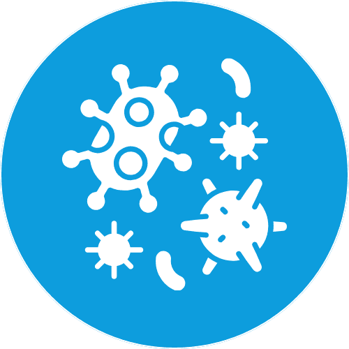 gram-postive bacteria icon