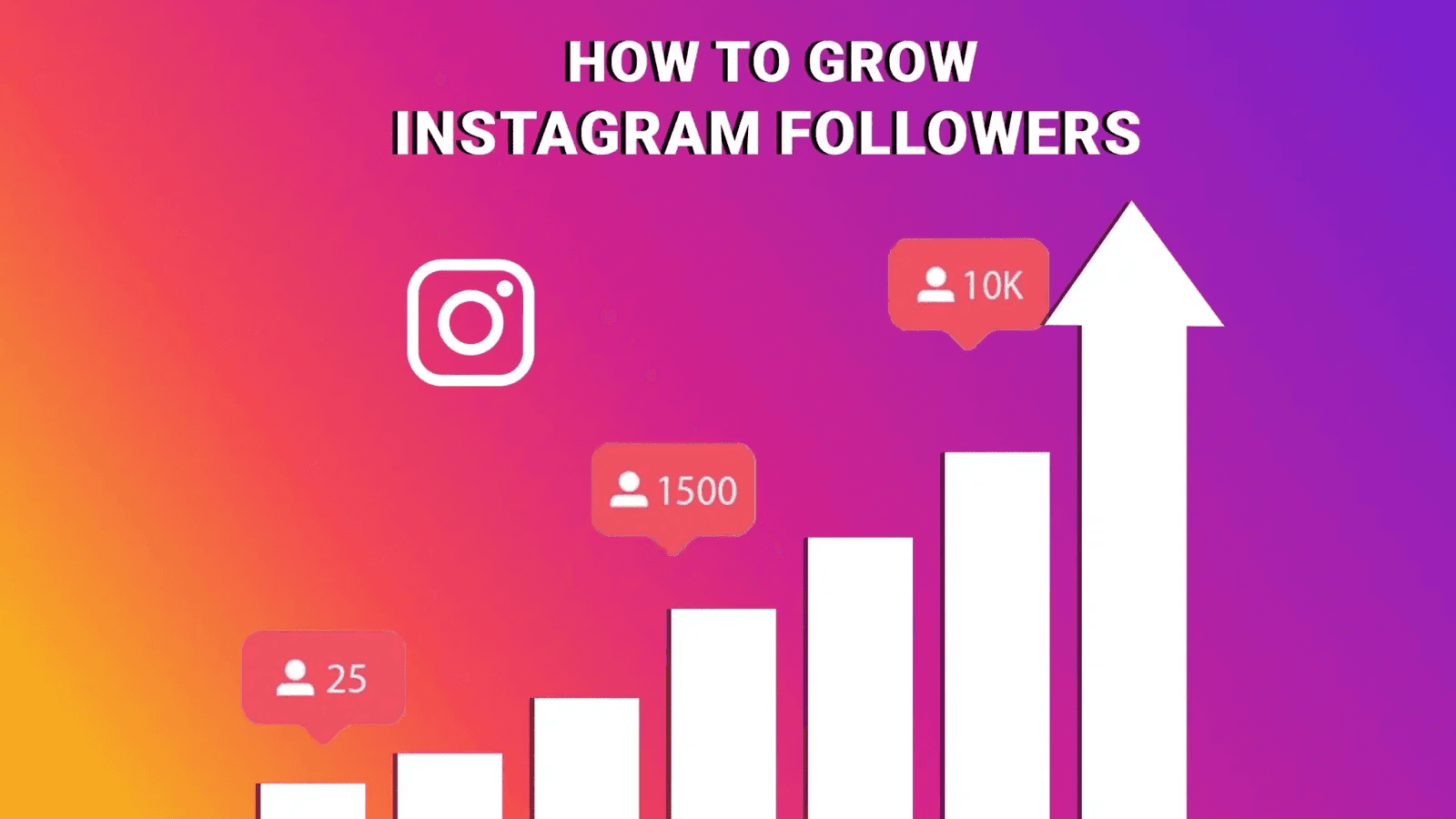 Organic Instagram Growth