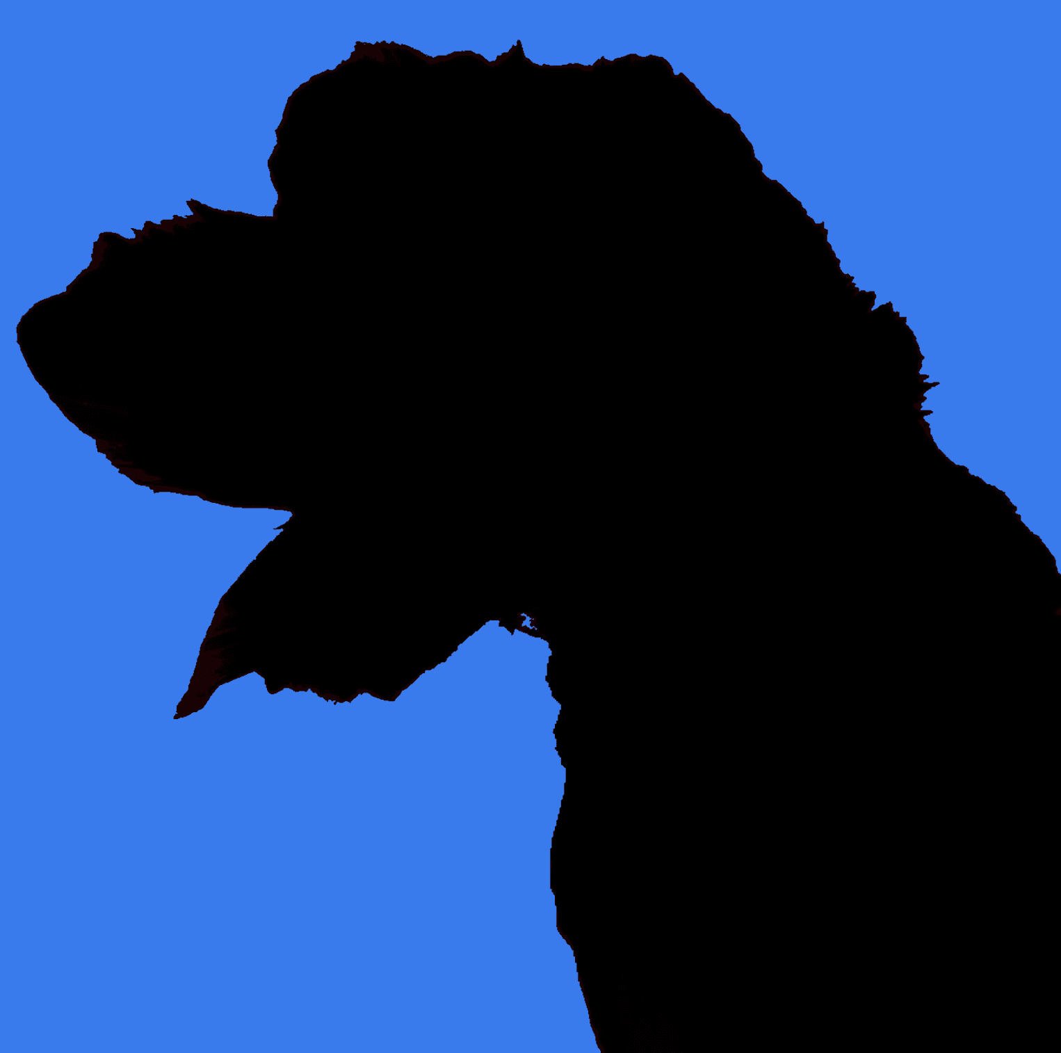 Woman Sit On The Floor