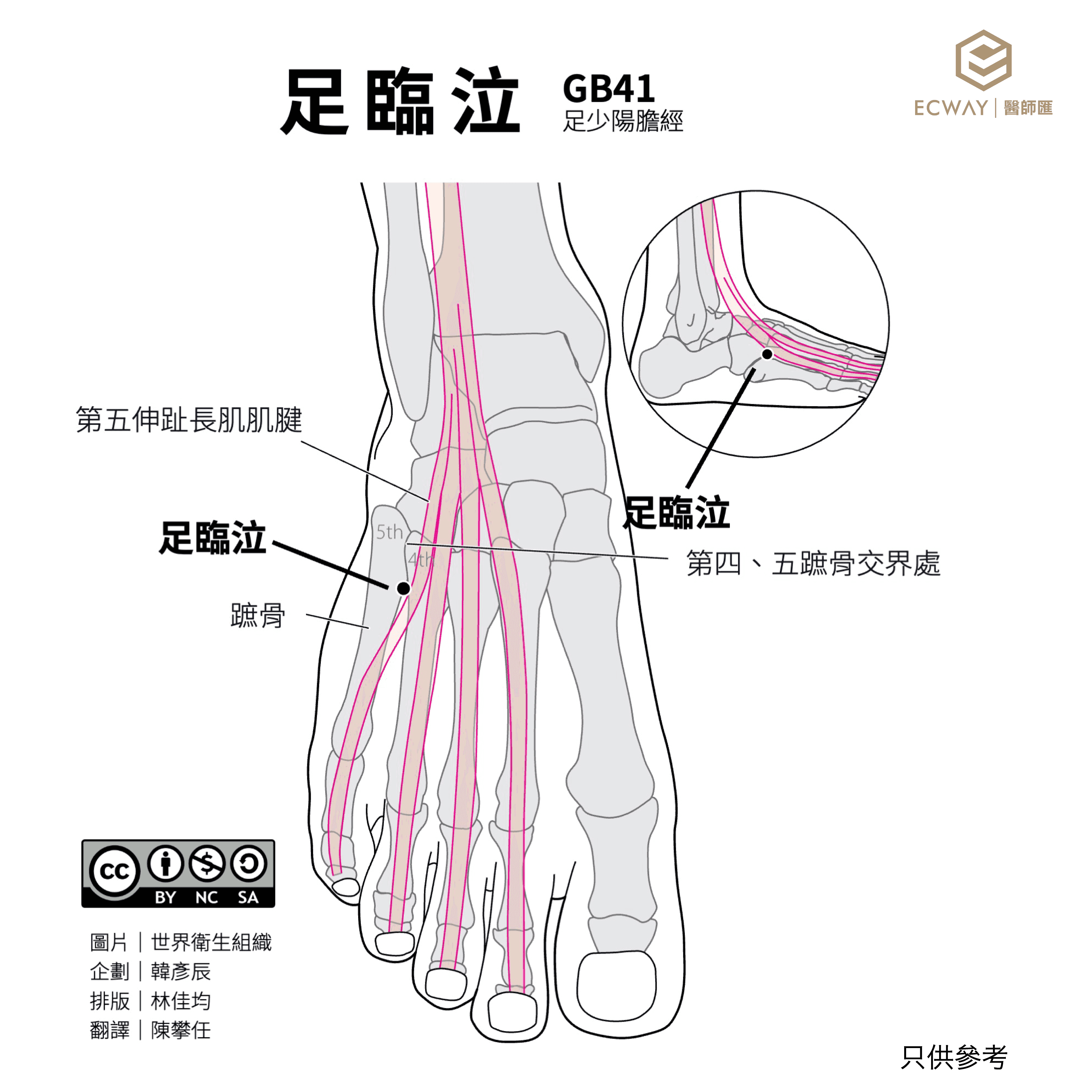 足臨泣穴