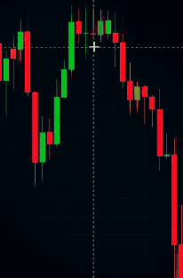 Daily limit card showing $2,500 spent, representing 12.5% of the total limit