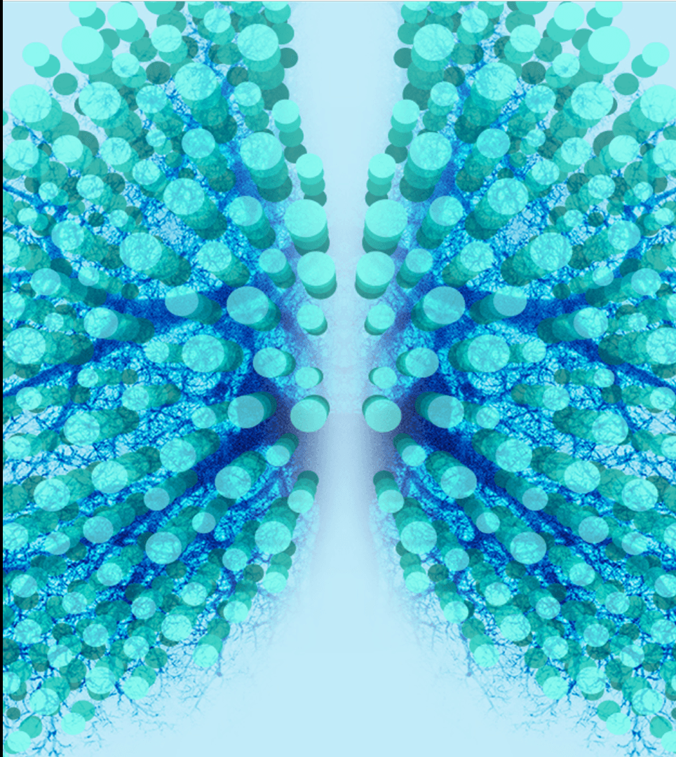 botanical garden with fogged windows