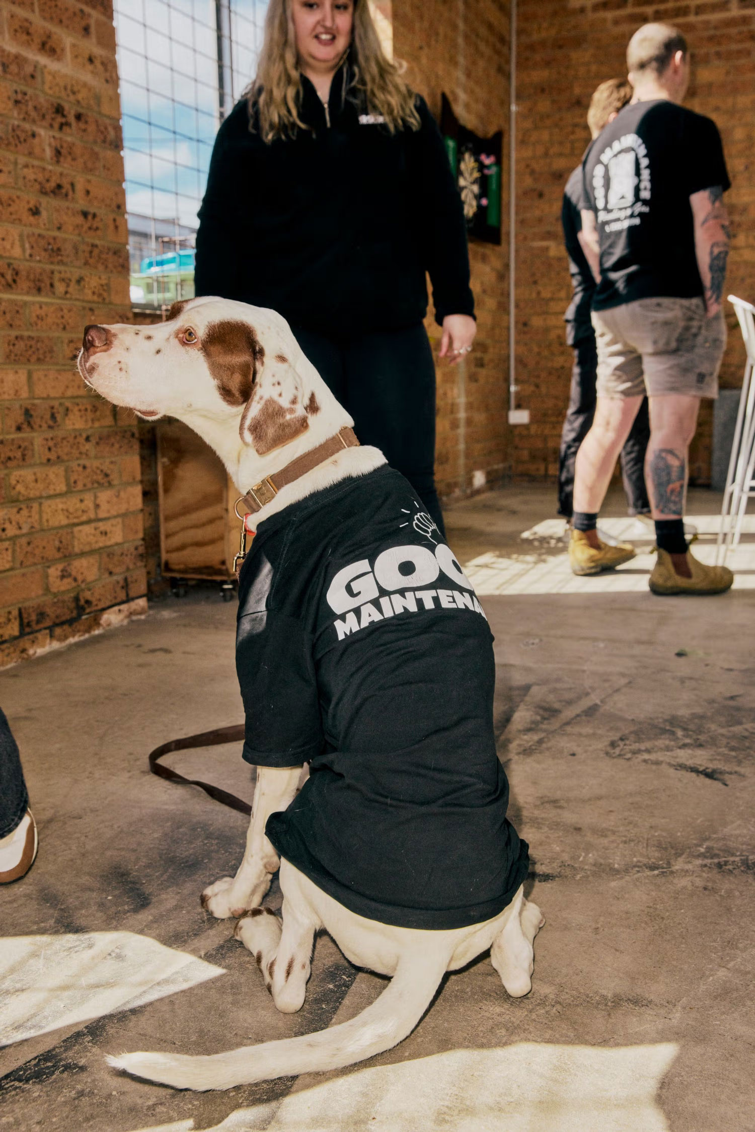 Dog wearing a Good Maintenance shirt sitting indoors with team members in the background.