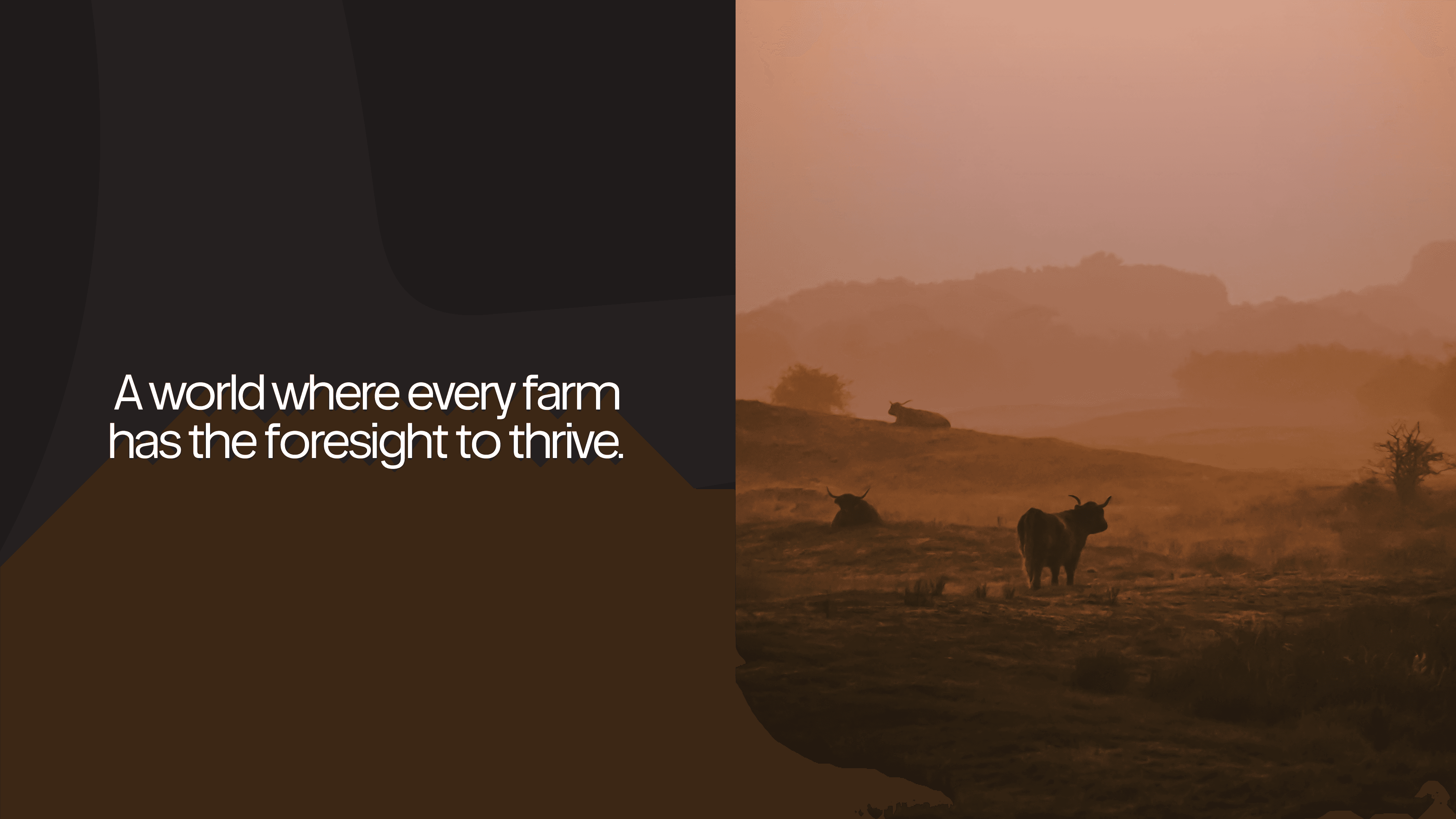 Large Project Gallery Image #1