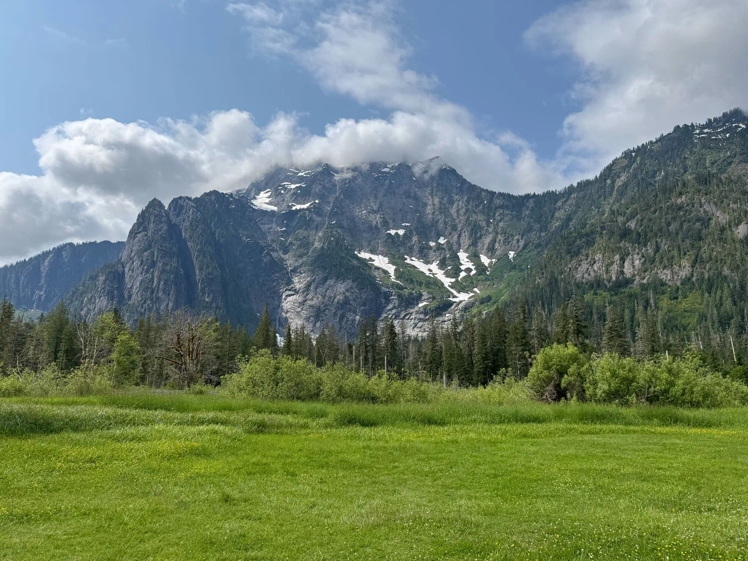 Snow-capped peaks and forested alpine mountains rising above a green meadow in North Cascades National Park.