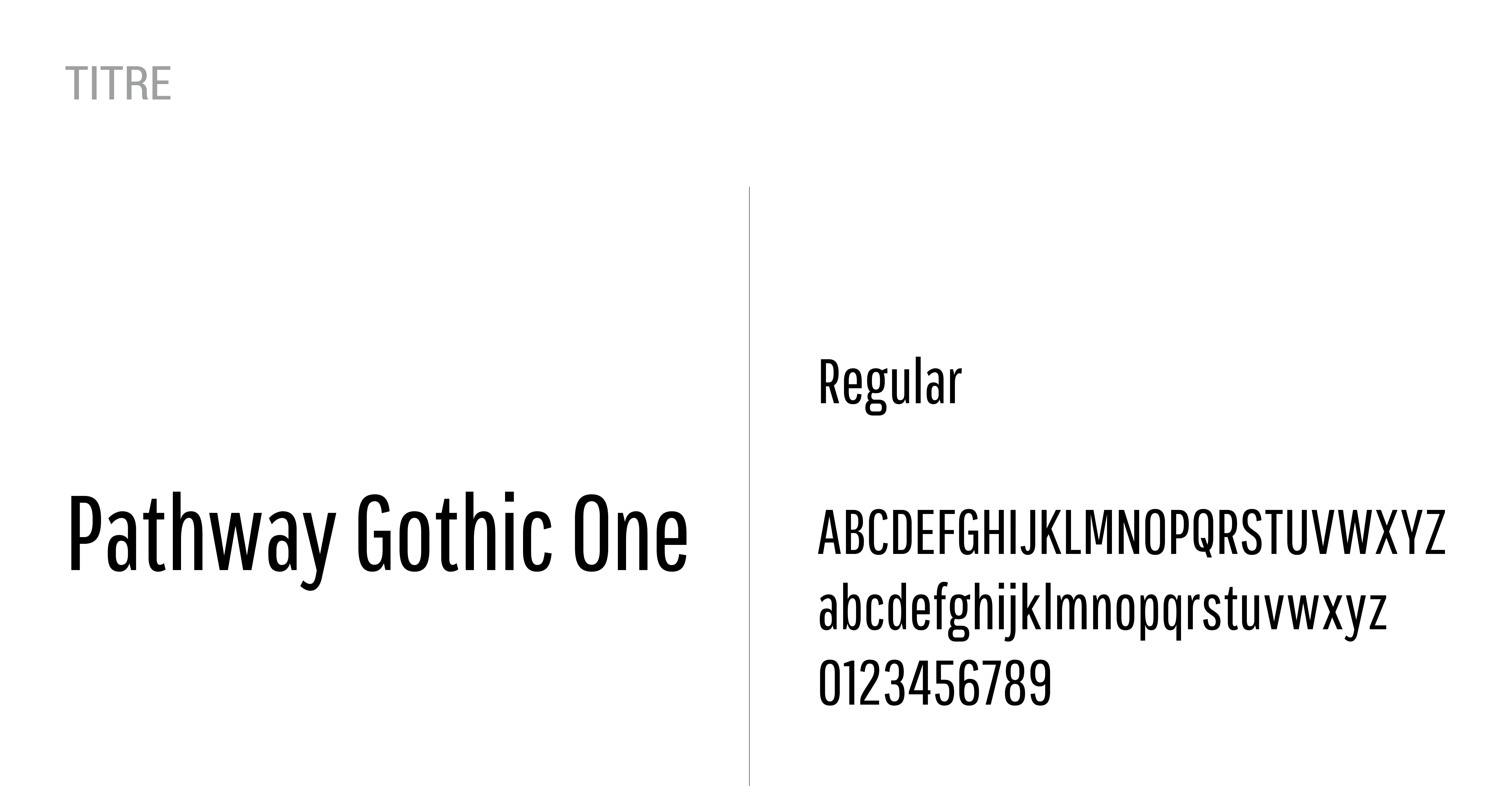 typographie-corps-identite-visuelle-la-grotte-des-loups