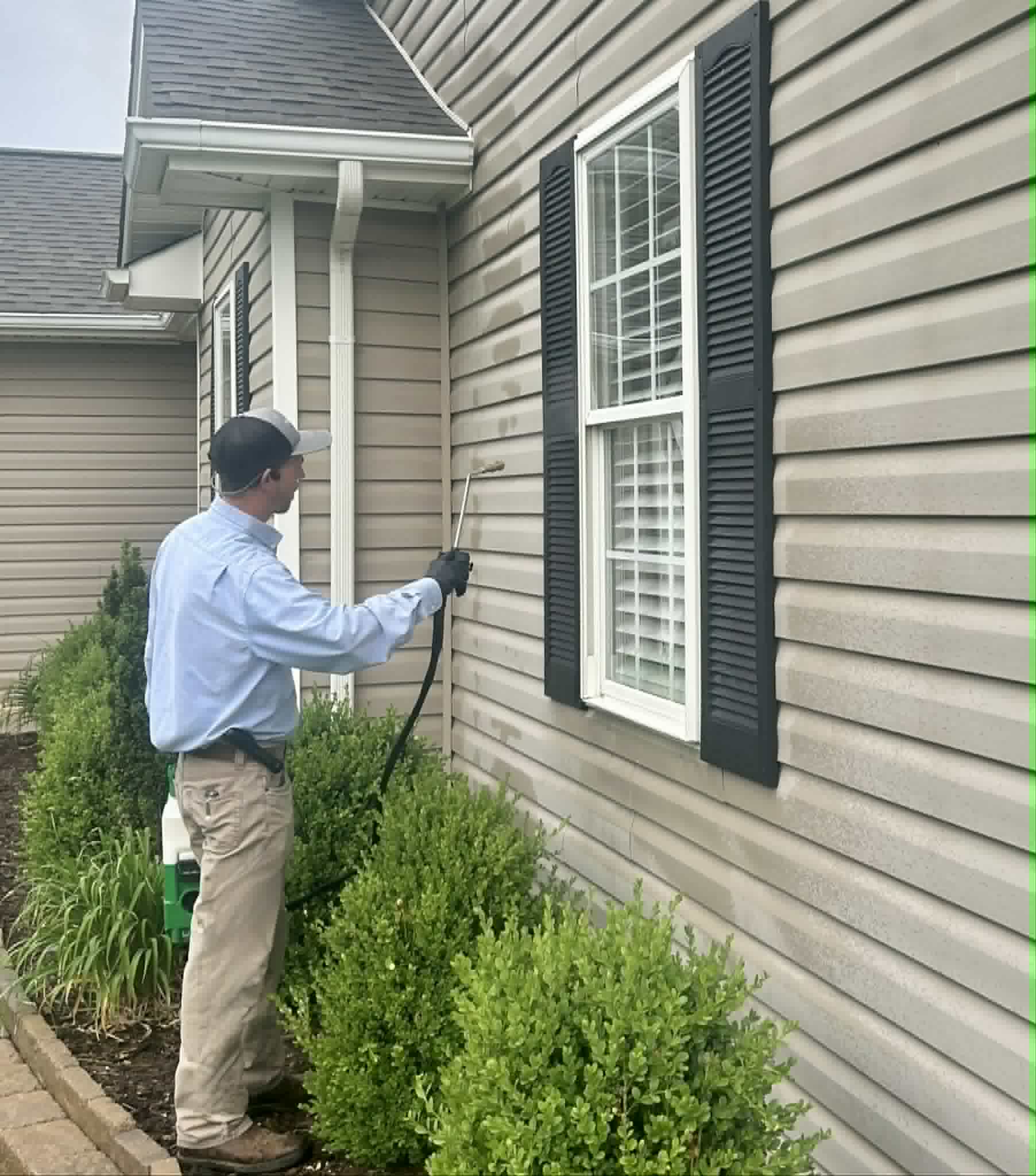 Pest Detective Team at Work in Johnson City TN