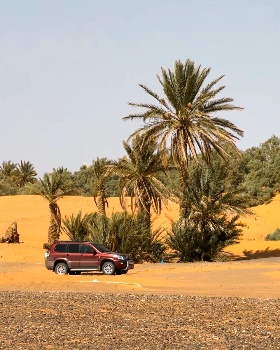 Мотоциклы у бассейна — база туров Lepei.tours