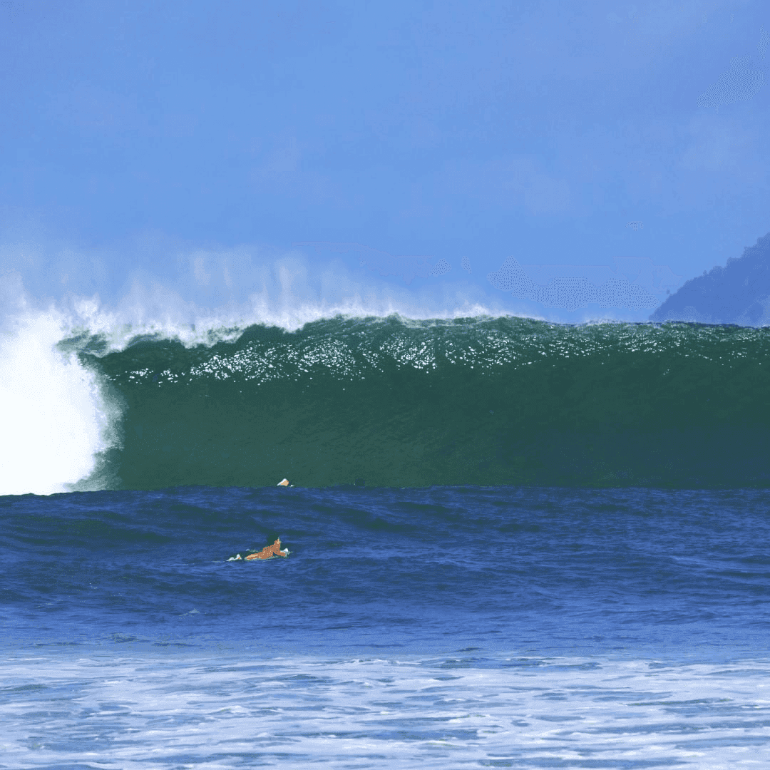 Surfer paddling out to catch big wave – surfboard rental in pavones