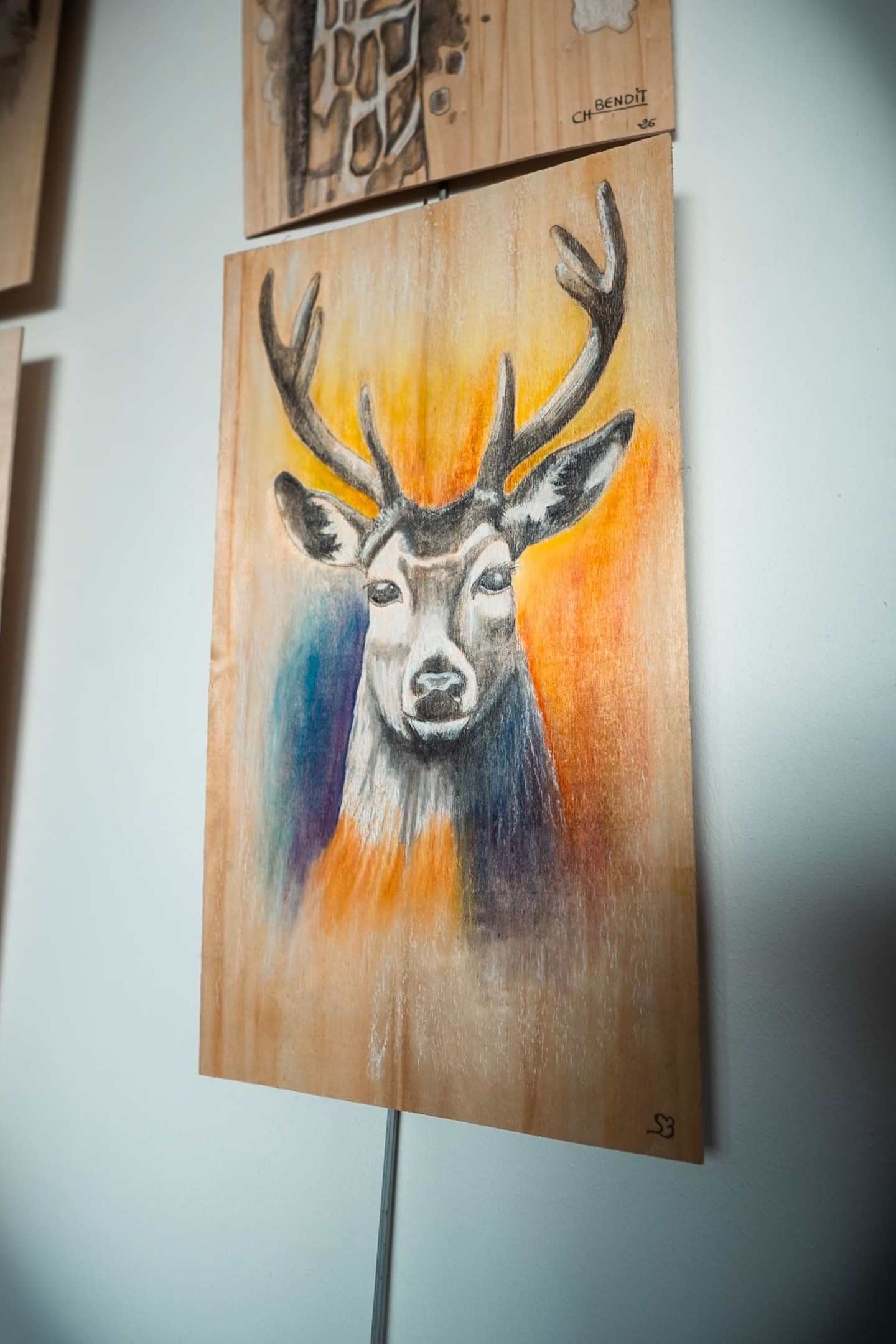 Cerf - cours thématique dessin animalier