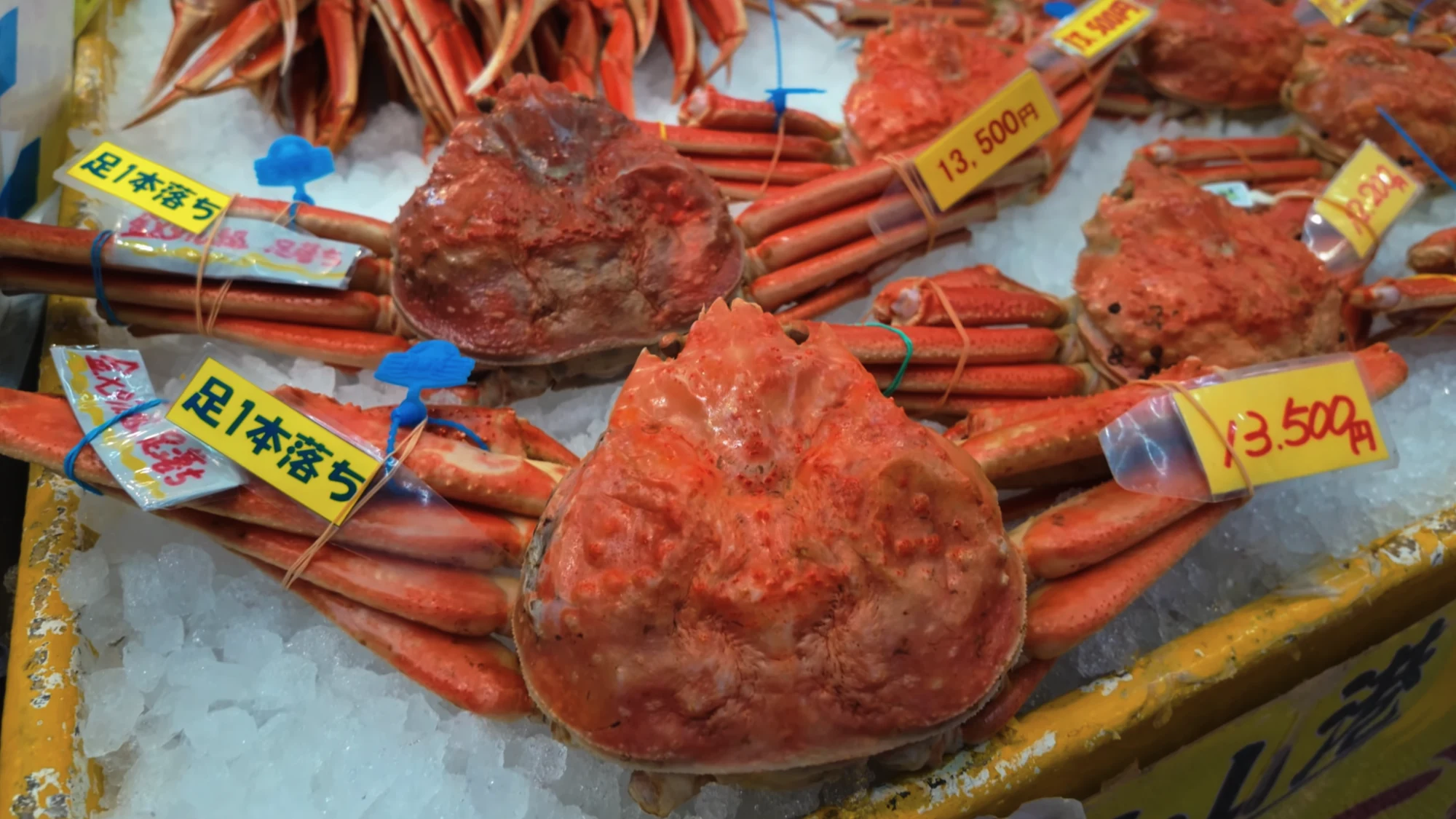 Snow crab on ice at a market counter near Kinosaki with yen price tags attached.