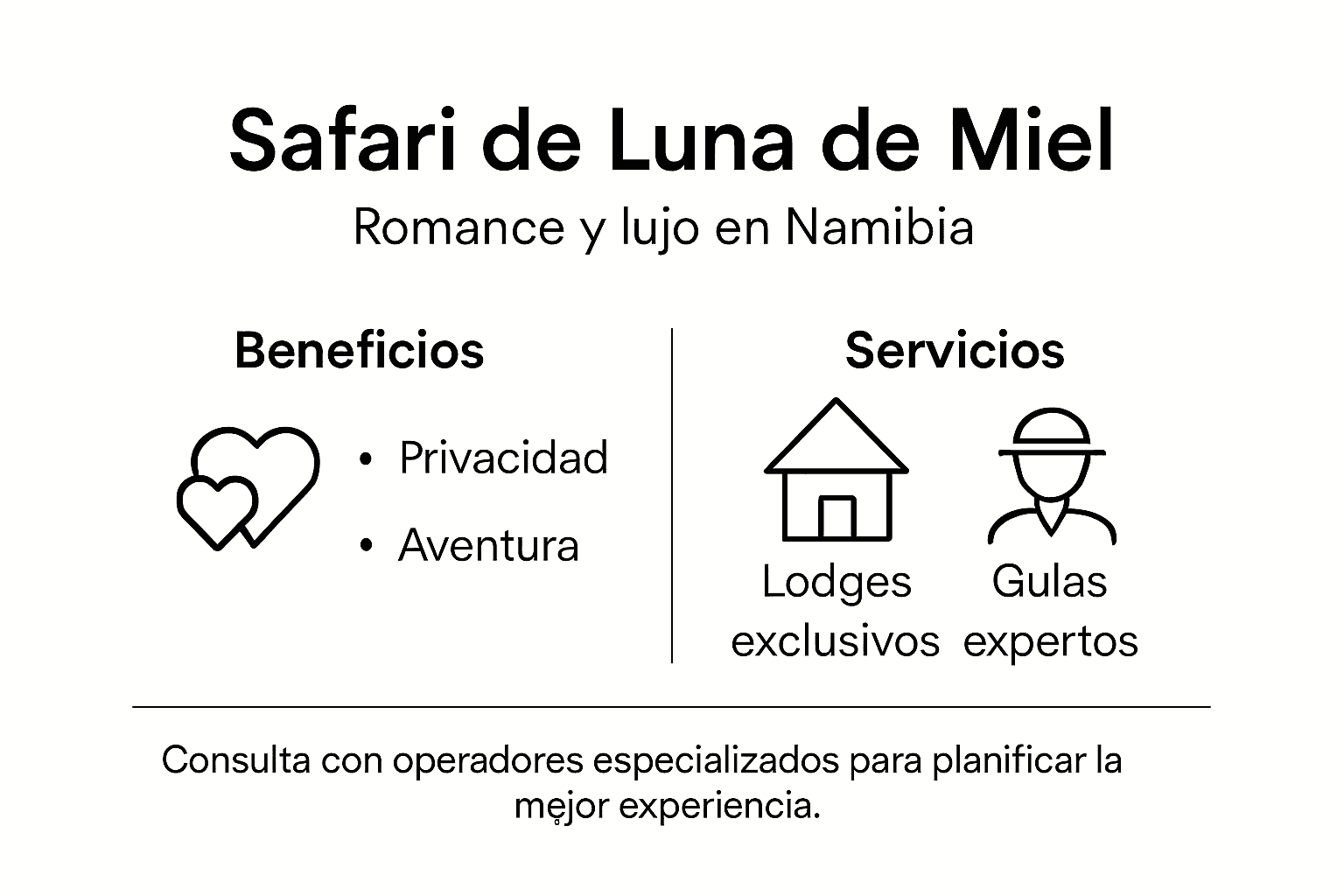 Guía visual para organizar un safari romántico de luna de miel en Namibia