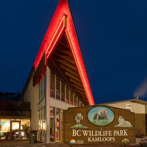 一座有高高尖頂的建築，外面燈光映照著紅色燈光，前面有一個寫著「BC 野生動物公園甘露市」的標誌。