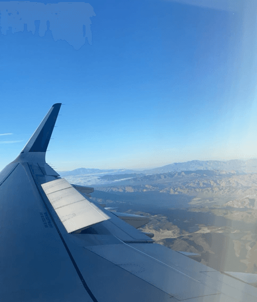 Pumpkin Carving Wolf