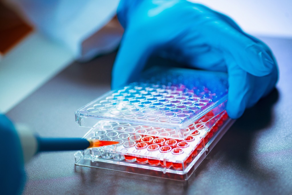 Man Wearing Black Coat