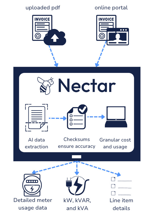 nectar flow