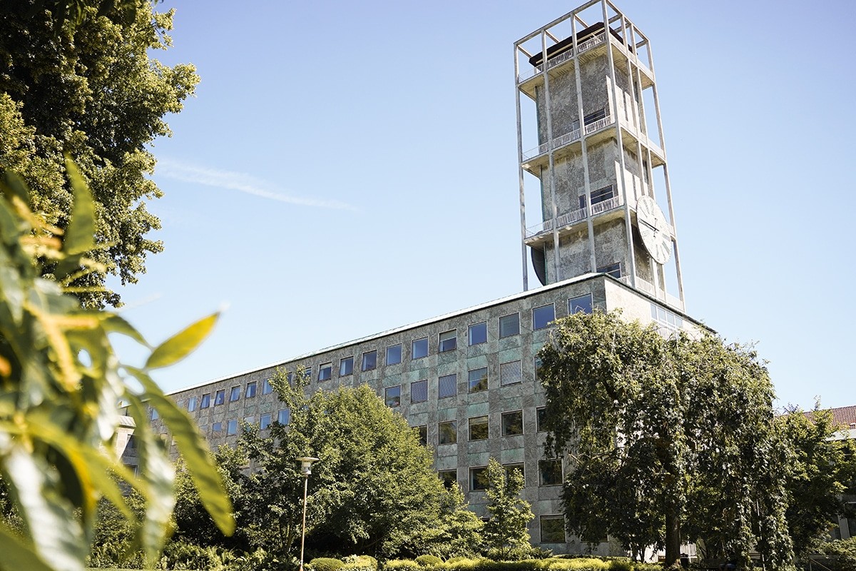 Aarhus City Hall and the park