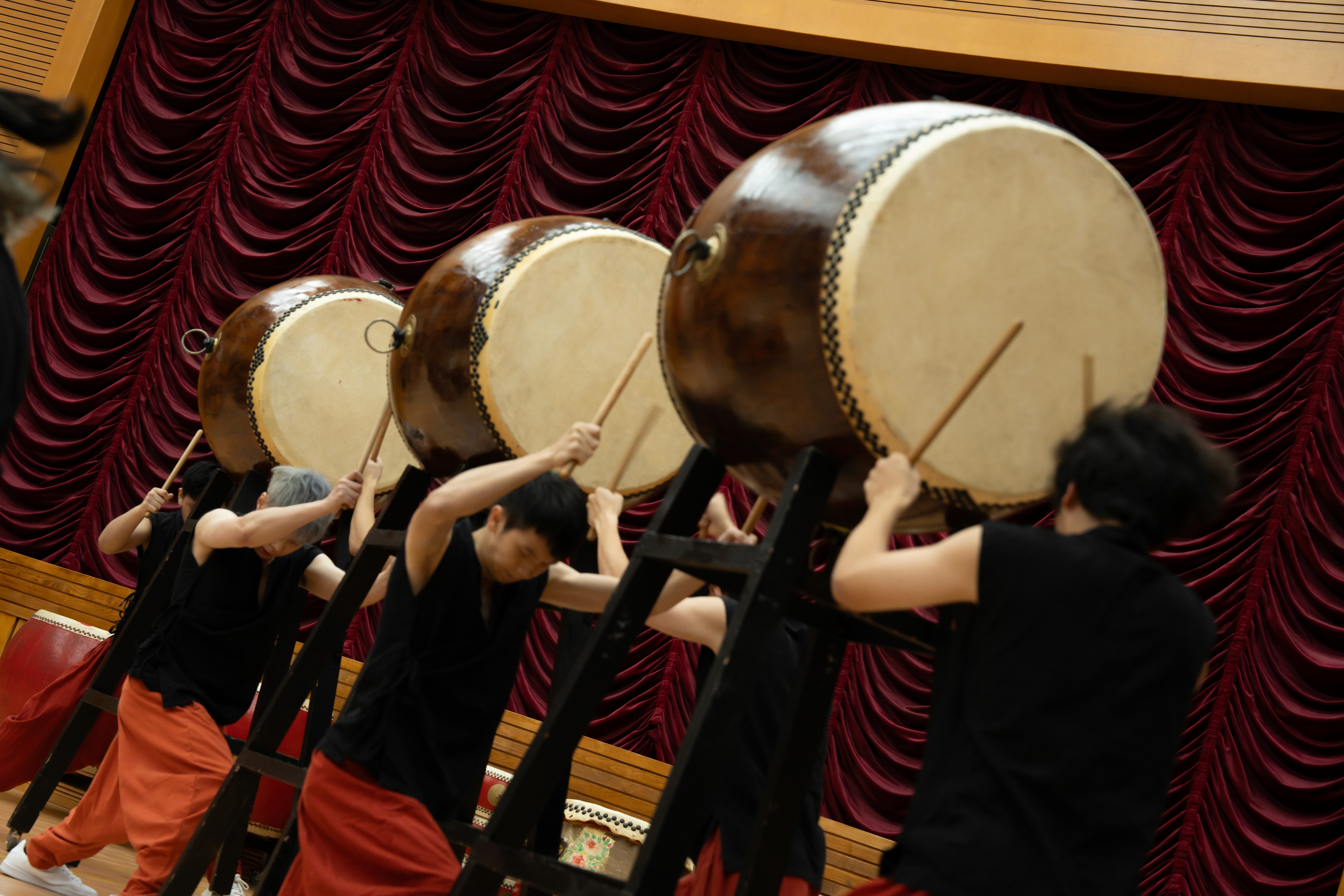 wind breeze, tree move