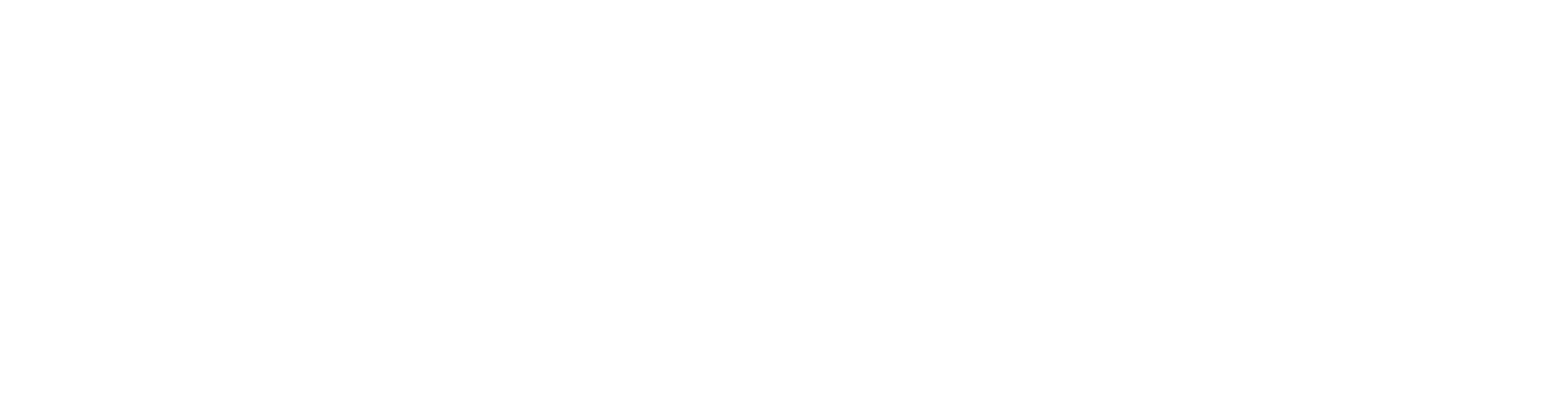 Logo Stefanini Group