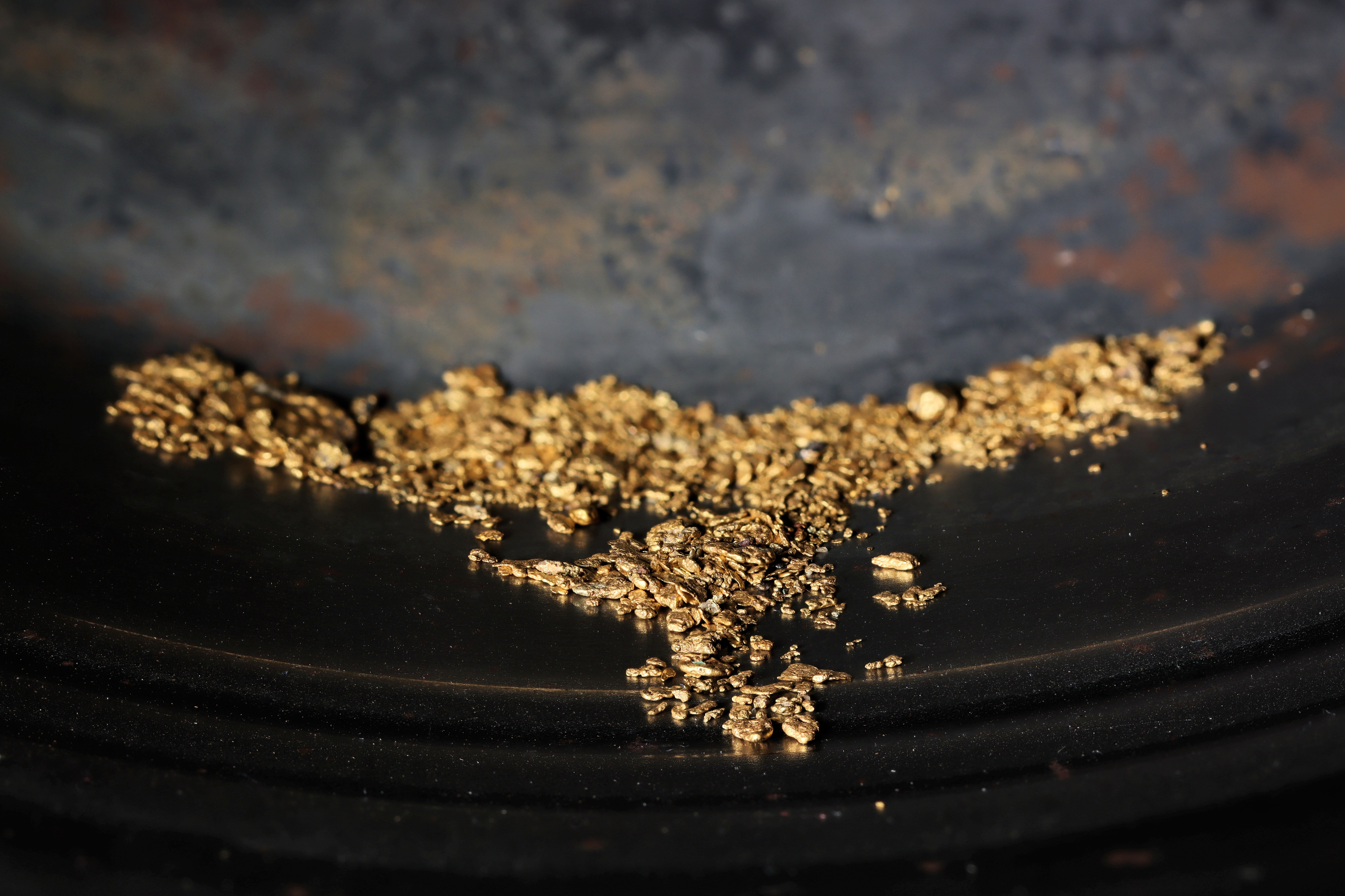 Close-up of gold flakes collected on a black surface, highlighting unrefined gold particles from the extraction process.