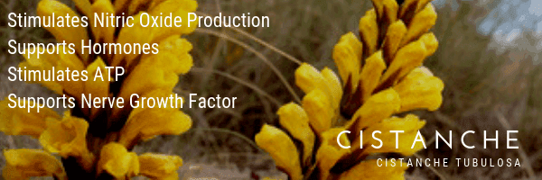 Cistanche supports male hormones