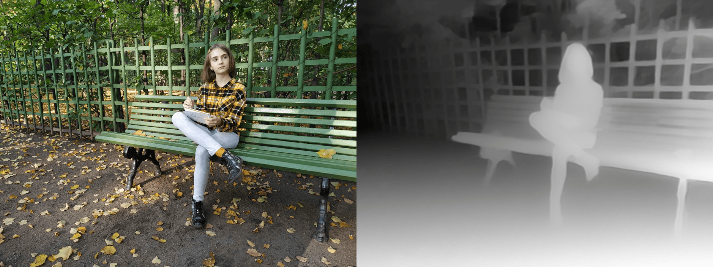 (The original image is on the left, and the depth map is on the right)