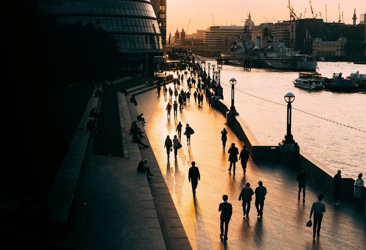 Valliance insights article