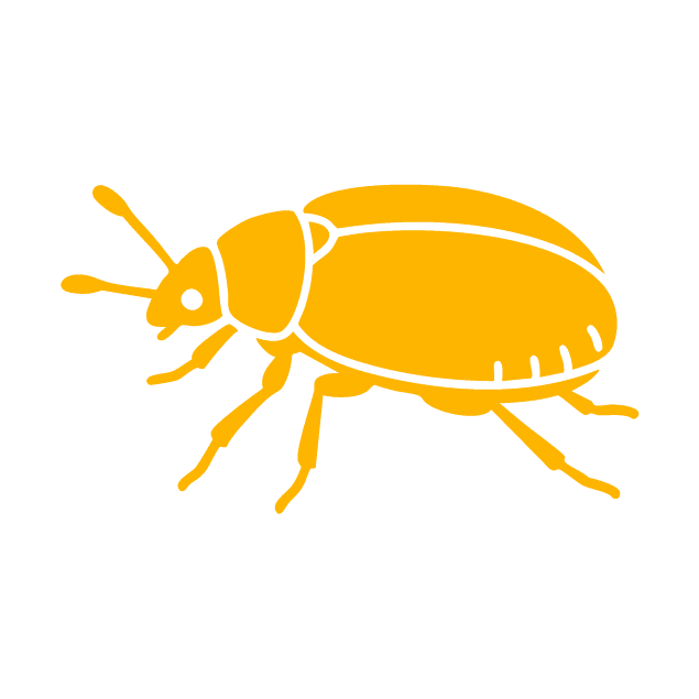 Feature Icon