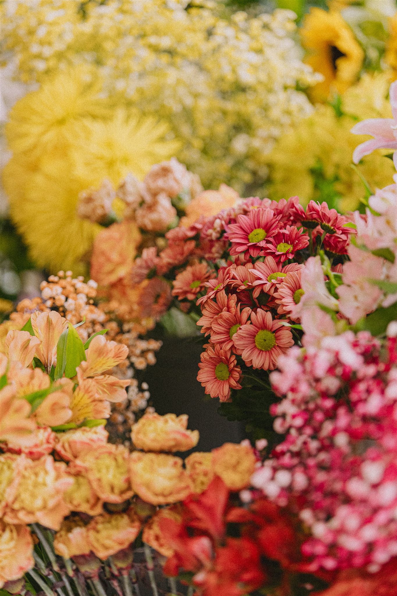 Eiviss Garden Florist San Antonio