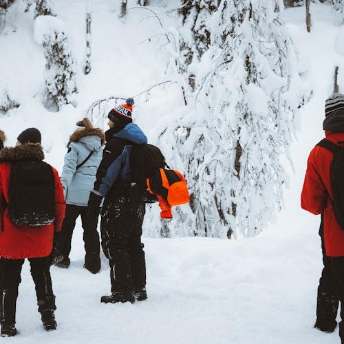 Exploring Korouoma Canyon in a small group