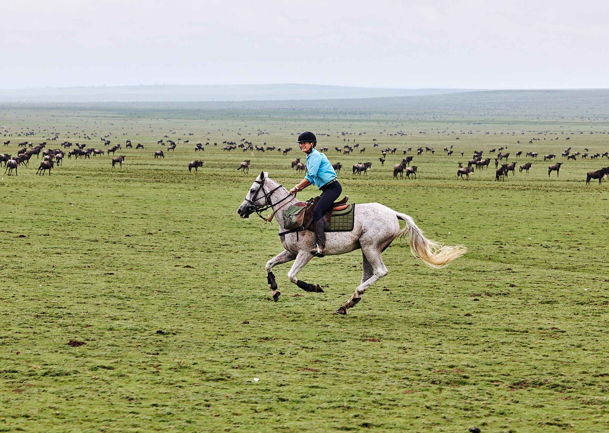 Grupp av ryttare på ridresa i Afrika galopperar över Serengetis vidsträckta slätter medan damm och gnuhjordar rör sig över horisonten under the great migration.