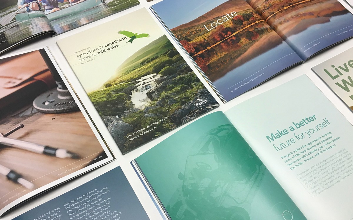 A grid of brochures opened on different pages